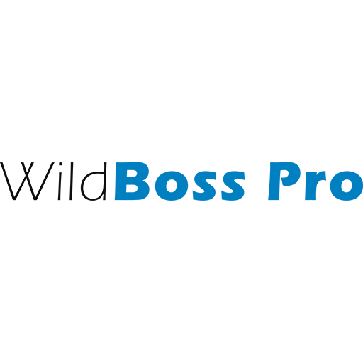 WildBoss Pro — российский сервер для корпоративных приложений